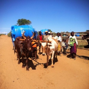 100 citernes de 1000 litres pour Ambovombe et une partie de l’Androy
